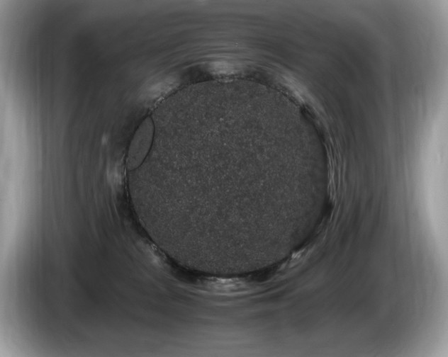 X0000087520277200704271146