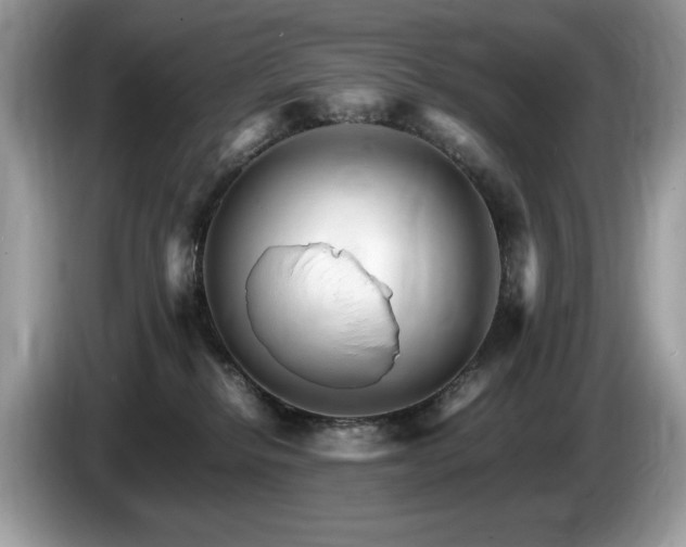 X0000087520278200704271146