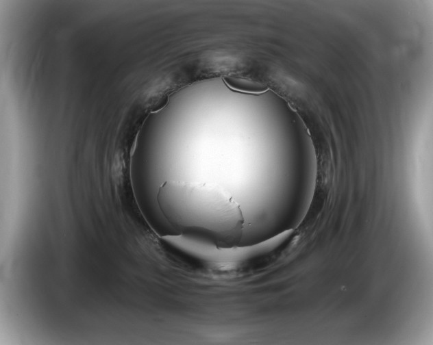 X0000087520279200704271146