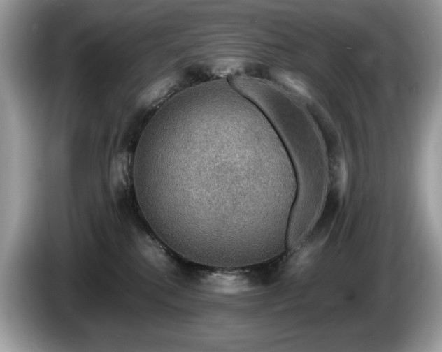 X0000087520280200704271146