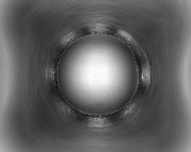X0000087520282200704271146