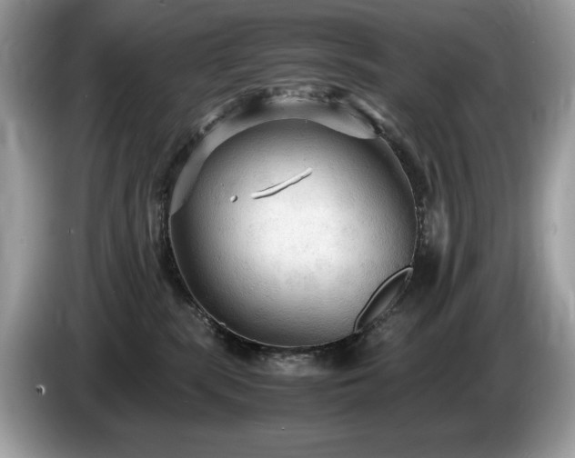 X0000087520283200704271146