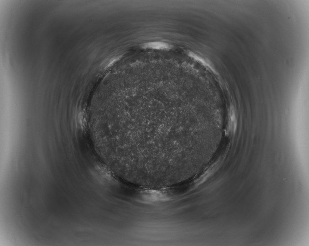 X0000087520285200704271146