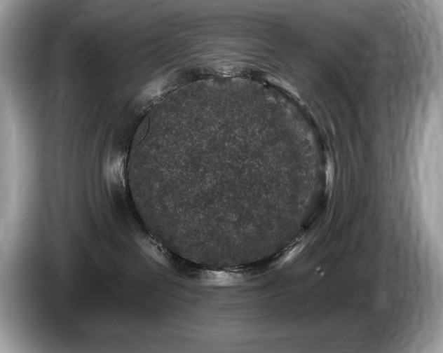 X0000087520286200704271146