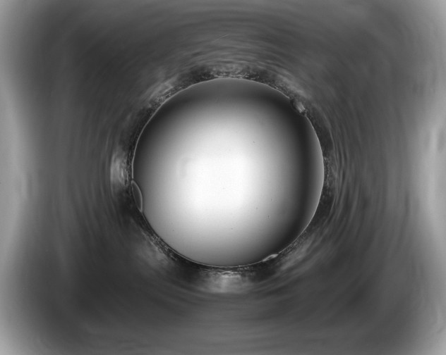 X0000087520287200704271146