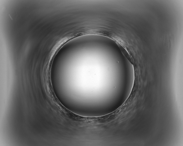 X0000087520289200704271145