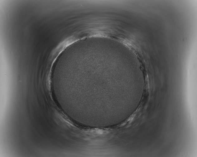 X0000087520290200704271145