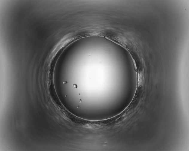 X0000087520291200704271145