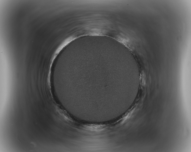 X0000087520292200704271145