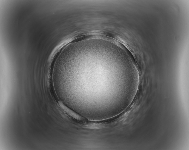 X0000087520293200704271145
