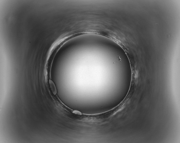 X0000087520294200704271145