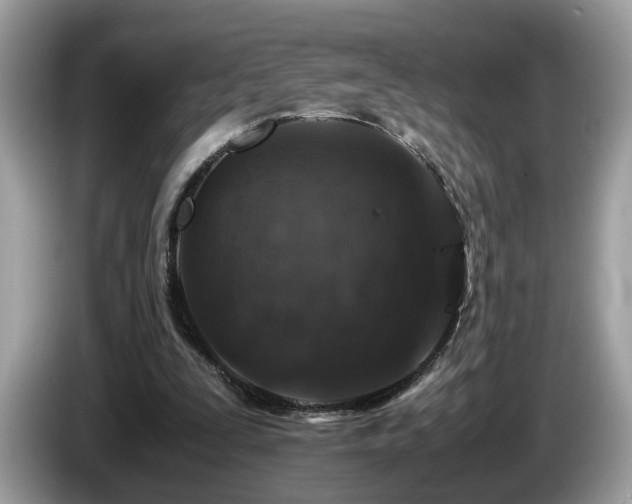 X0000087520295200704271145