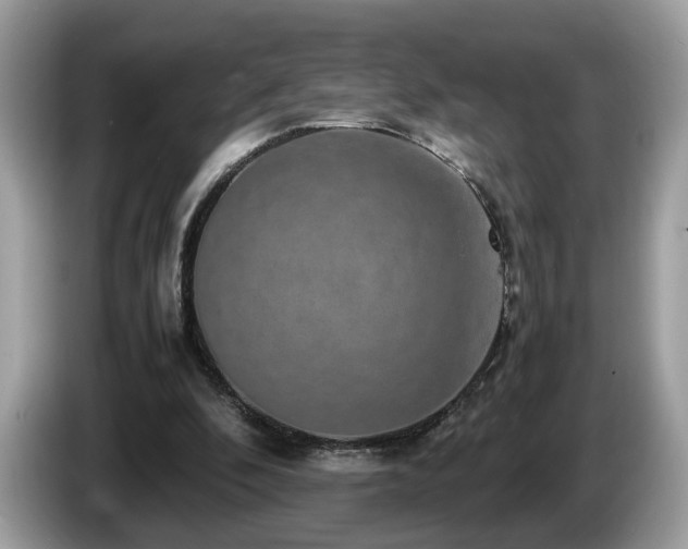X0000087520296200704271145