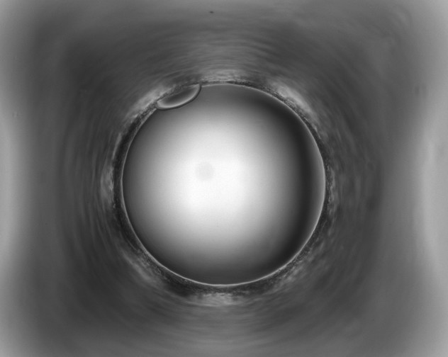 X0000087520298200704271145
