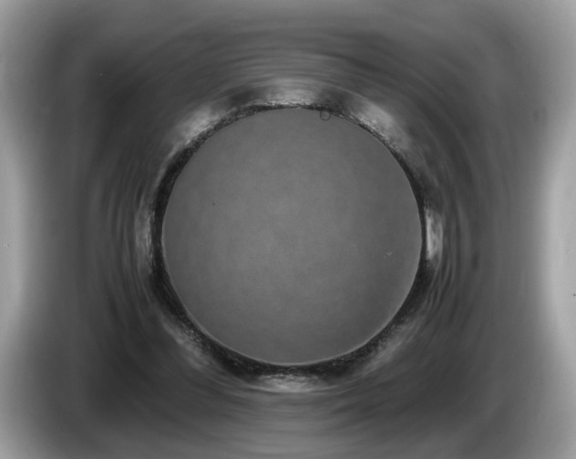 X0000087520300200704271145