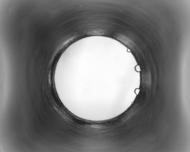 X0000087520302200704271145