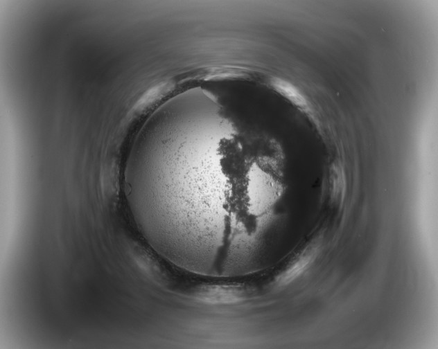 X0000087520303200704271145