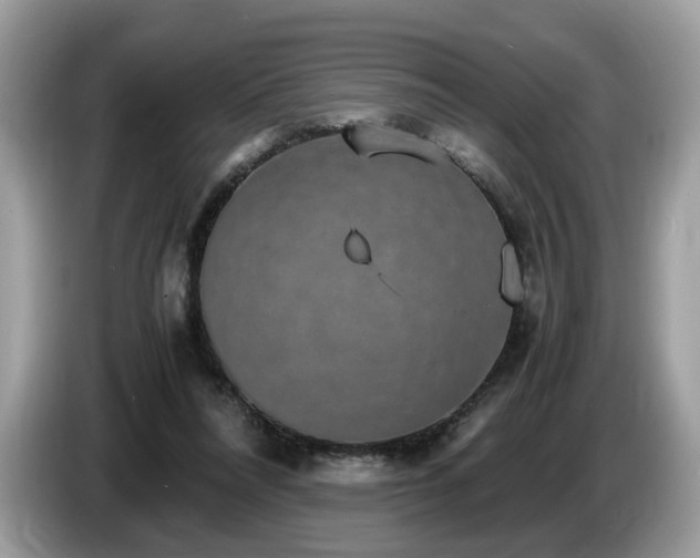 X0000087520304200704271145