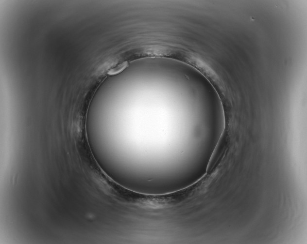 X0000087520305200704271145