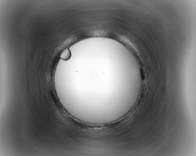 X0000087520306200704271145