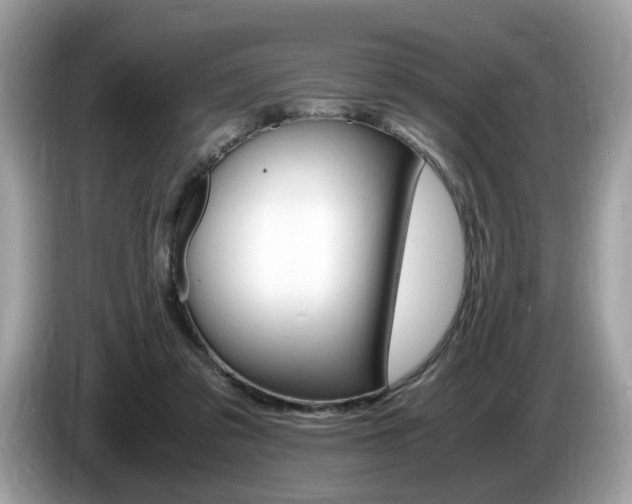 X0000087520309200704271145