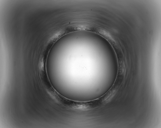 X0000087520310200704271145