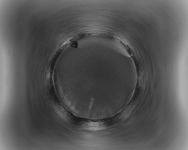 X0000087520314200704271145