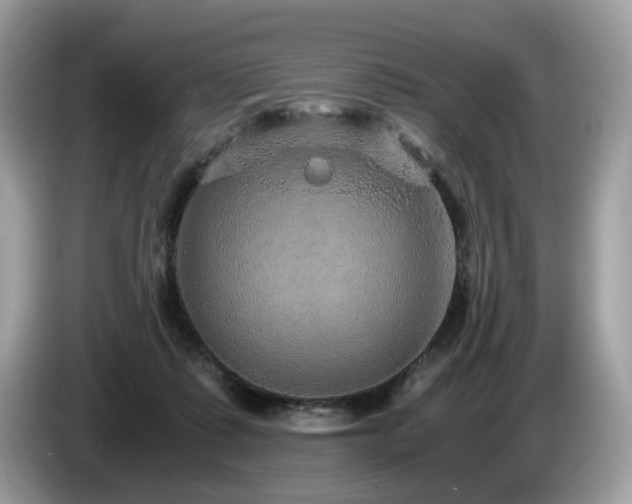 X0000087520315200704271145