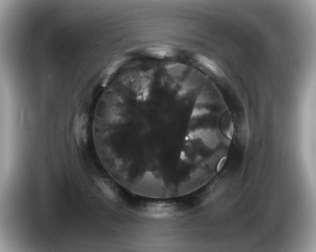 X0000087520319200704271145