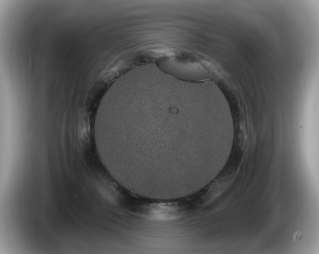 X0000087520320200704271145