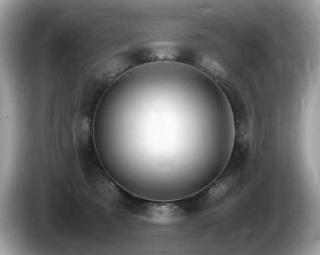 X0000087520321200704271145