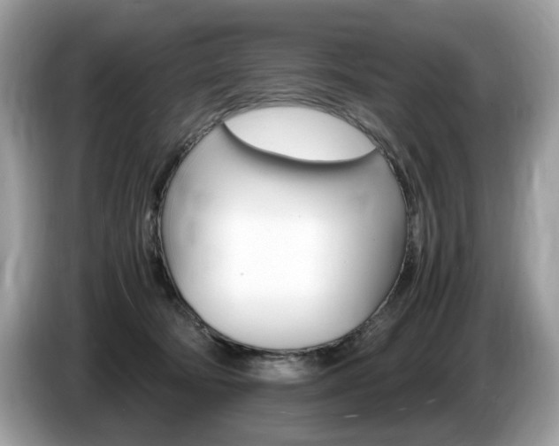 X0000087520322200704271145