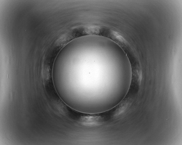 X0000087520323200704271145