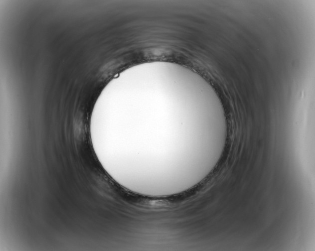 X0000087520324200704271145