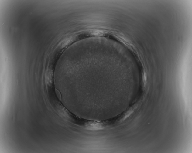 X0000087520325200704271145