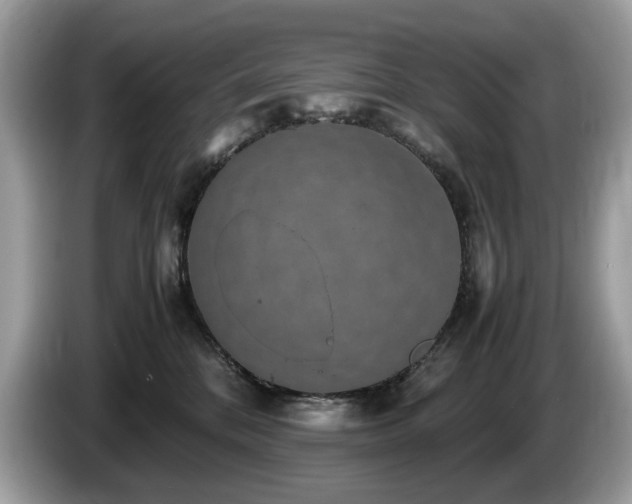X0000087520328200704271145
