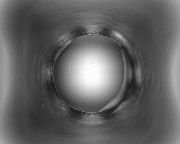 X0000087520329200704271145