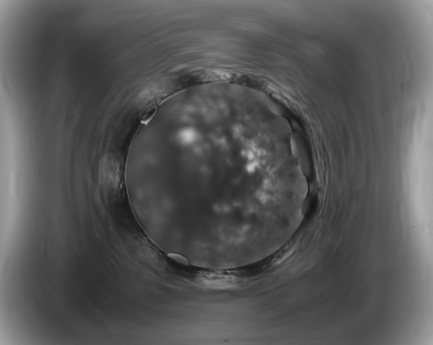 X0000087520331200704271145