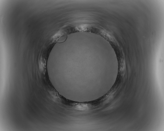 X0000087520332200704271145