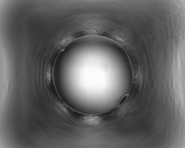 X0000087520334200704271145
