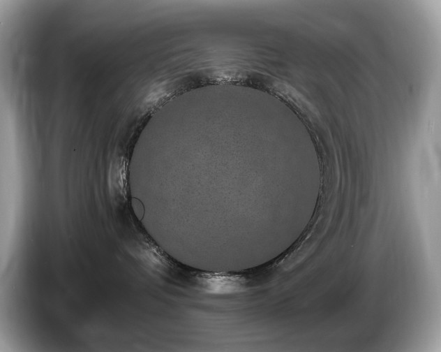 X0000087520336200704271145