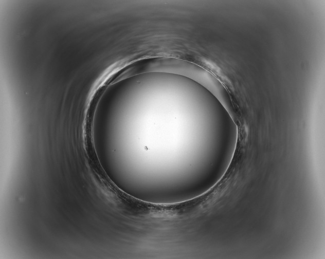 X0000087520340200704271144