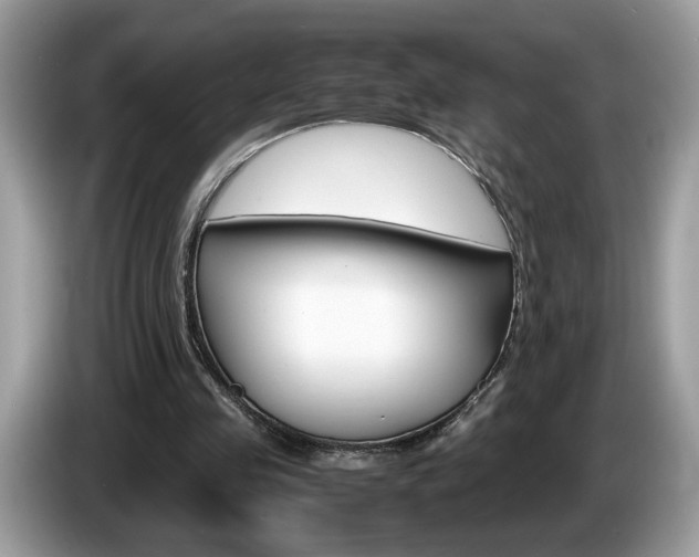 X0000087520341200704271144