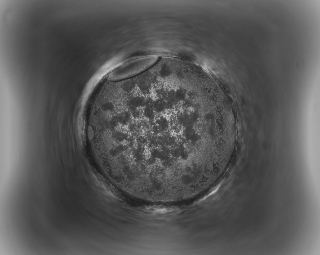 X0000087520343200704271144