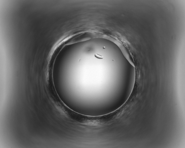 X0000087520344200704271144