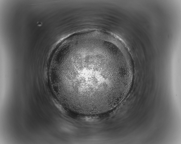 X0000087520345200704271144