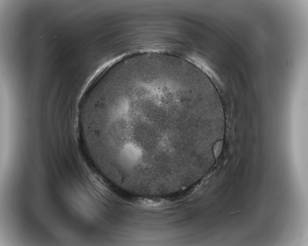 X0000087520346200704271144