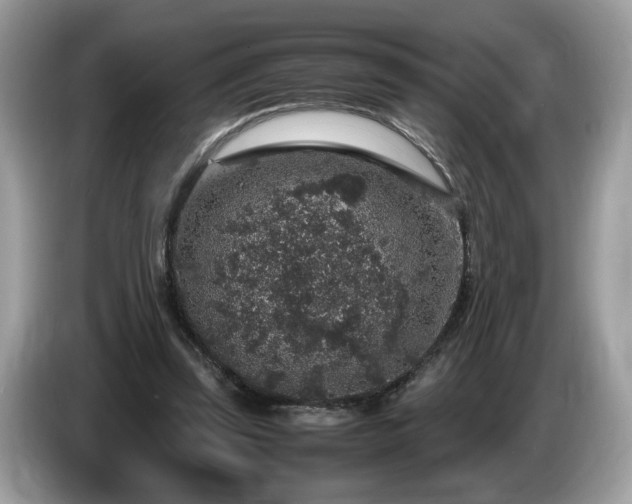 X0000087520347200704271144