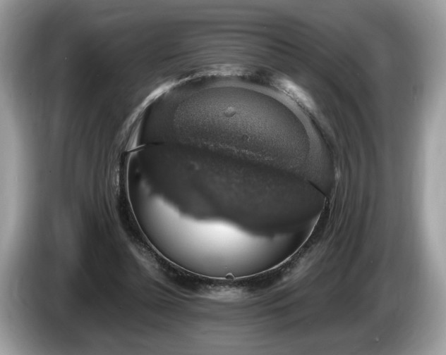 X0000087520348200704271144