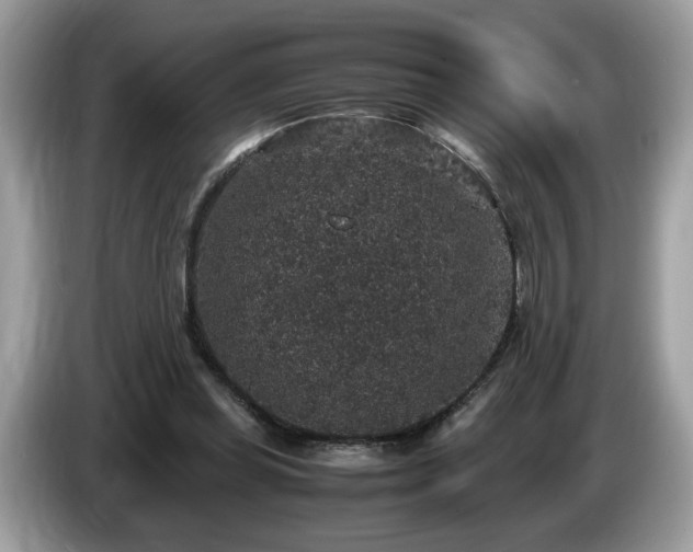 X0000087520349200704271144